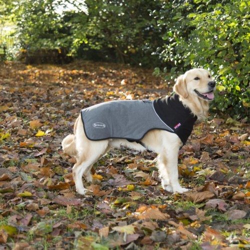 Casaco térmico para cães, cinza