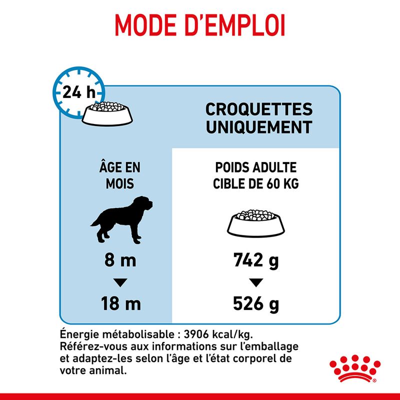 Royal Canin Giant Junior - Croquettes chiot discount | Bitiba
