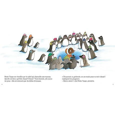 CARTOTHEQUE - PETITE TAUPE ET L'AVENTURE DU GRAND NORD