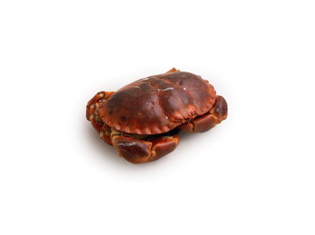 SAPATEIRA UNIDADE 450G