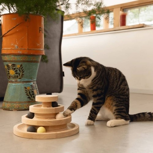 Arranhador interativo para gatos Mia, marrom, projetado pela Lotte.