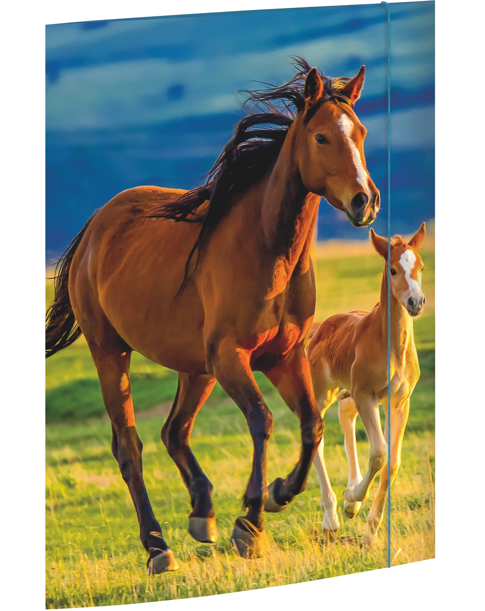 Zeichenmappe FREE HORSES (31x44) A3