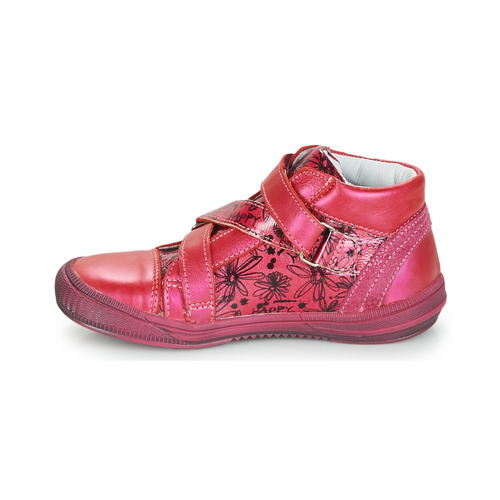 GBB - RADEGONDE - Rose
