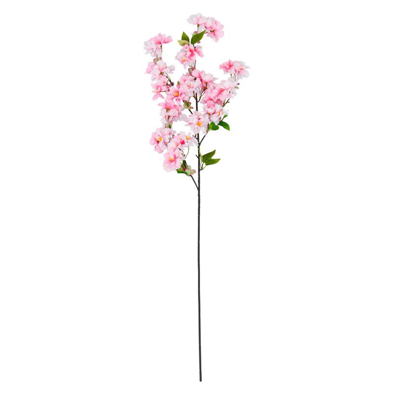 Fleurs de cerisier