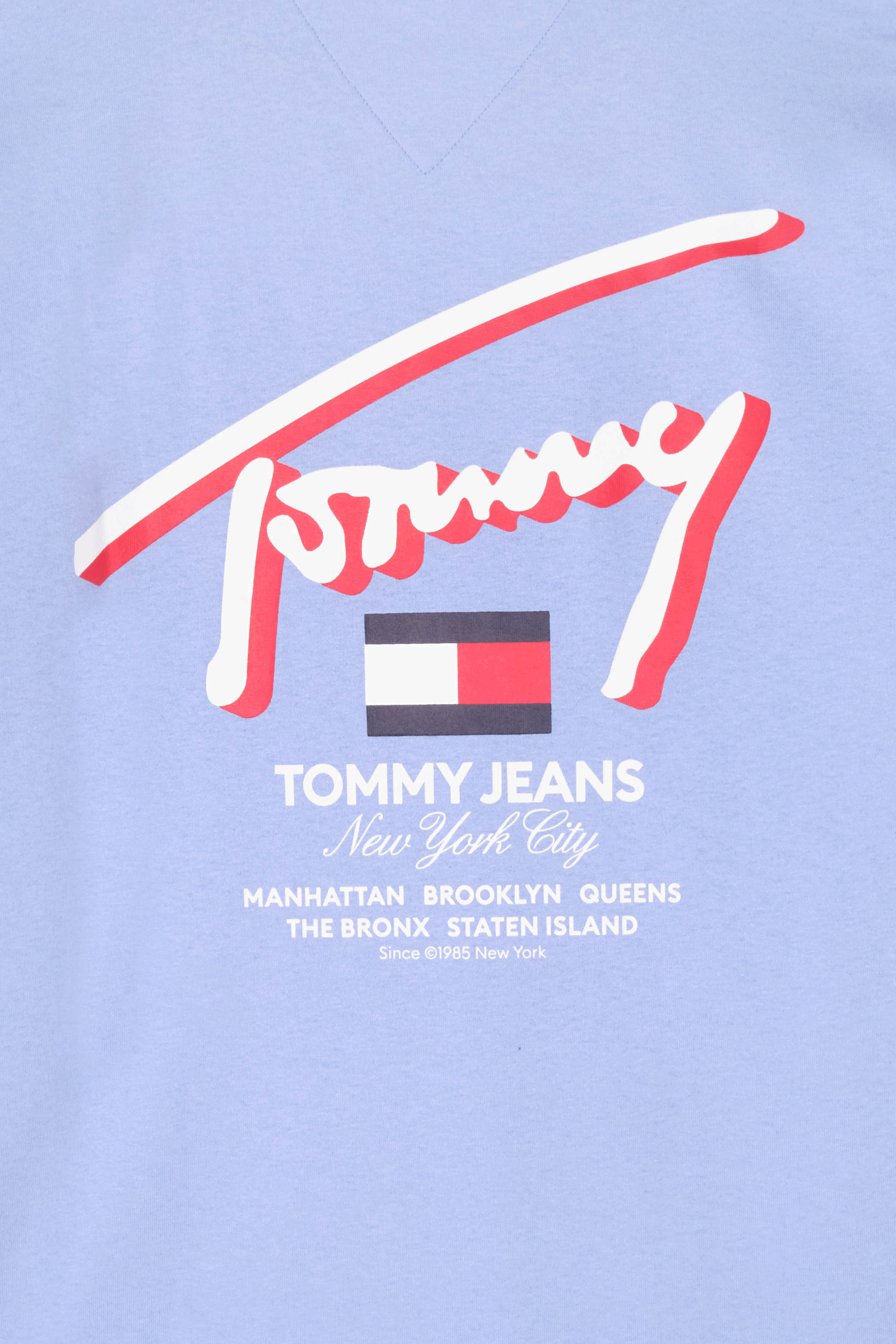 TOMMY JEANS T-shirt  REG 3D STREET  Bleu
