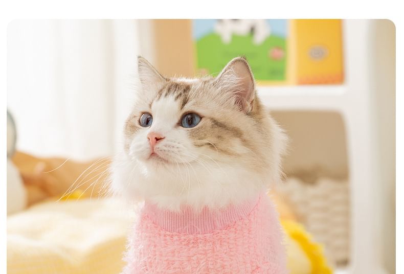 Cissilli - Geborduurd Chenille Pet Topje