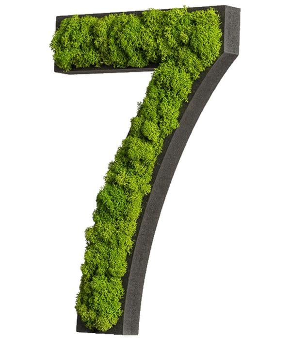 styleGREEN Zahlen aus Islandmoos, ca. H25 cm