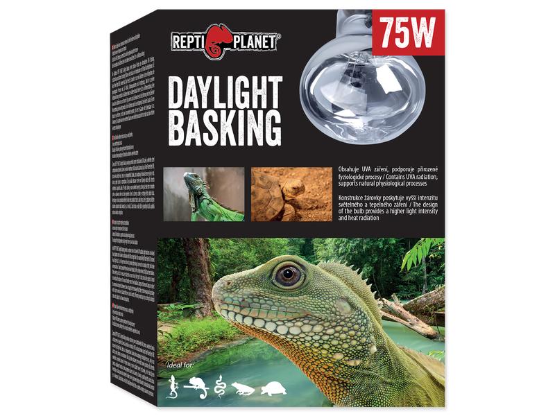 Repti Planet Daylight Basking Spot 75 W Terrarienbeleuchtung