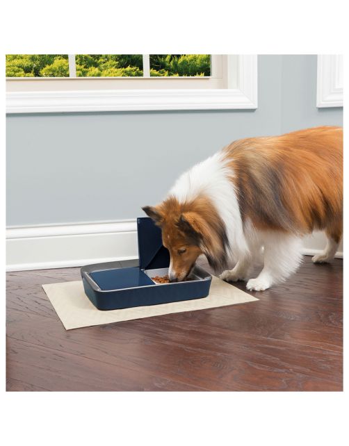 Petsafe Digitale Dubbele Voerbak - Hondenvoerbak - 6.5x30.1x22.5 cm Blauw Grijs