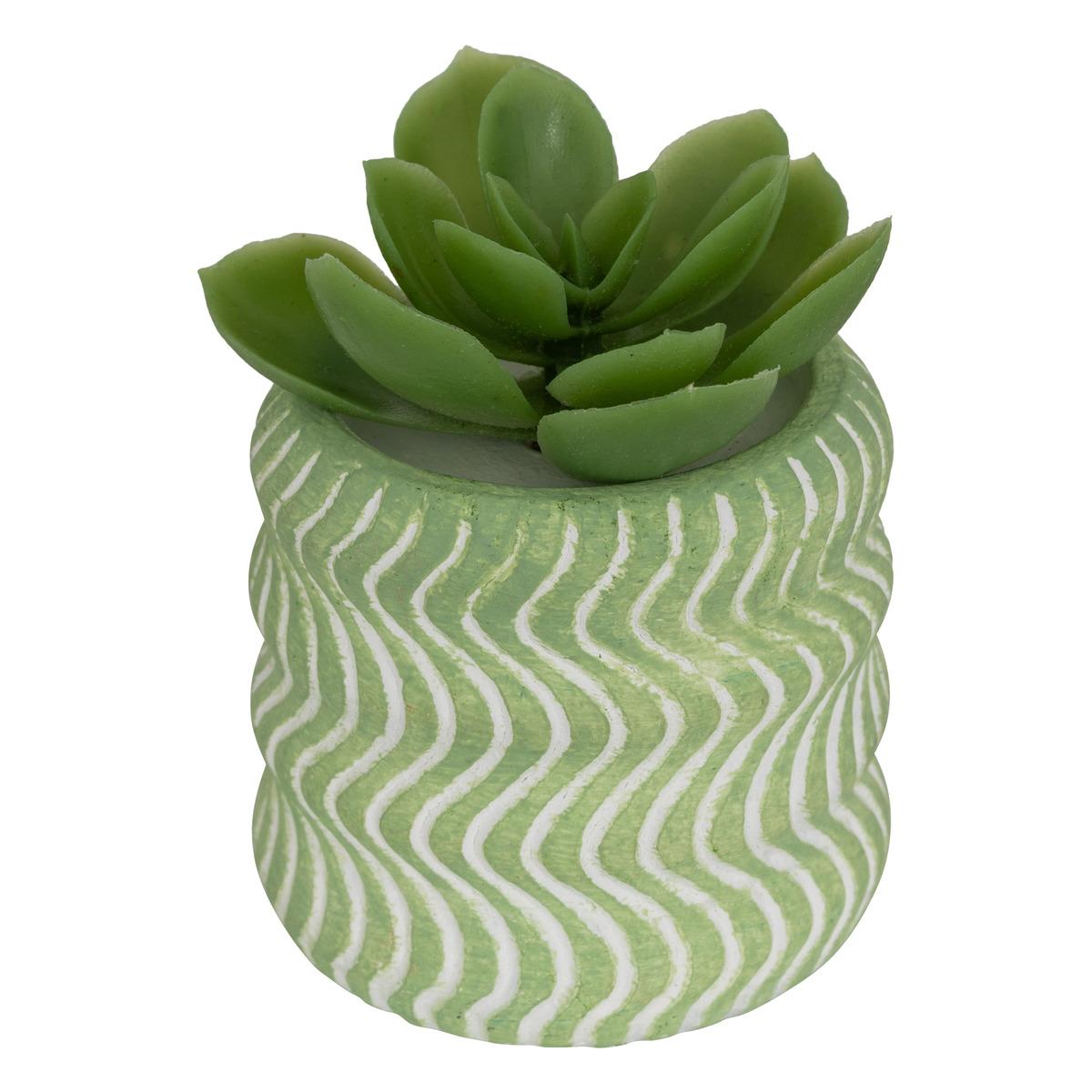 MINI PLANTE GRASSE POT CIMENT UBI H.7CM