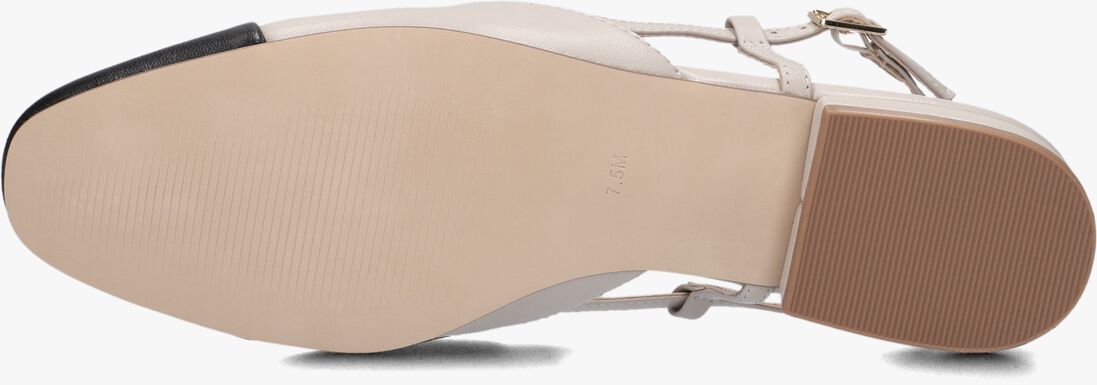 STEVE MADDEN zand steve madden  belinda