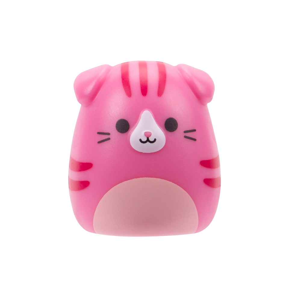 Squishalongs - 2,5 cm Blind 2 Pack Asst