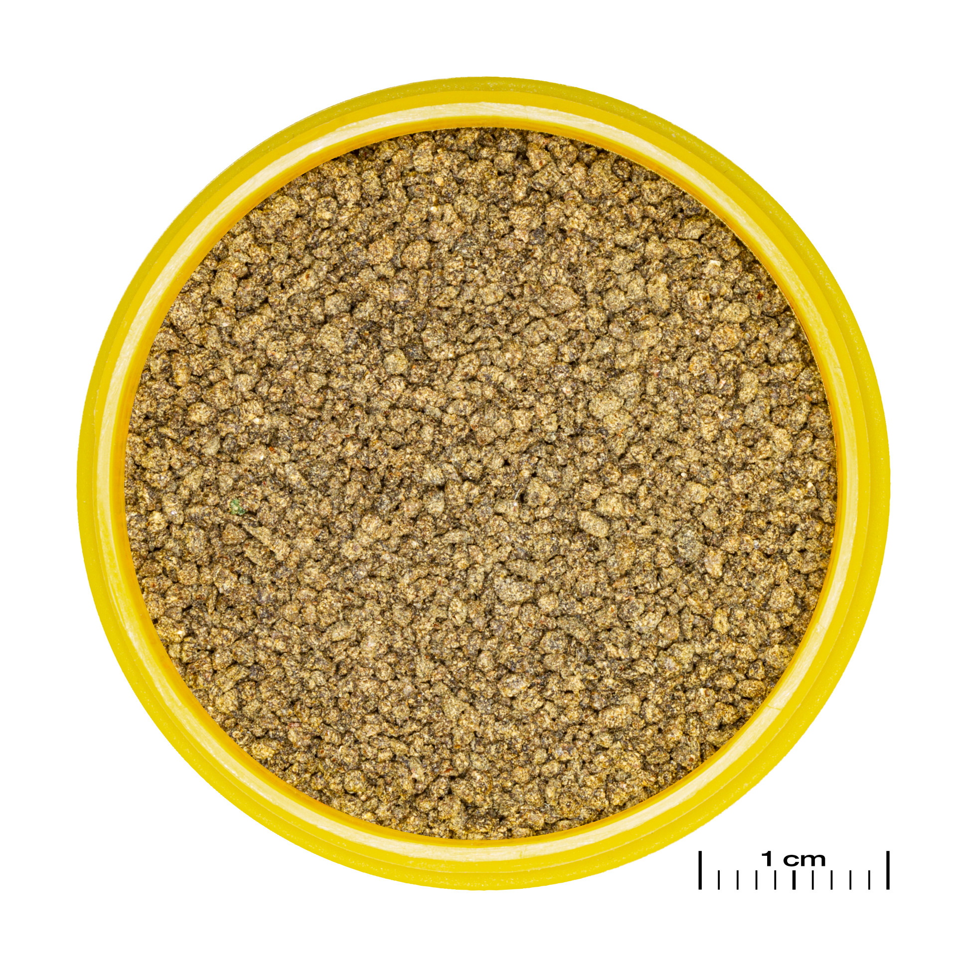 JBL Pronovo Killifish Grano S 100ml Click | Killivisvoer