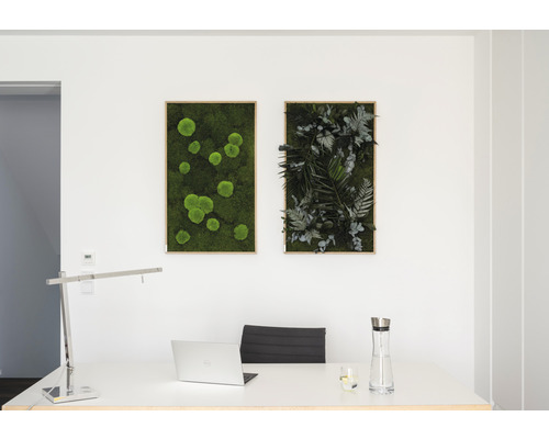 Forest & Ball Moss Fotolijst Eikenlook 100x60 cm