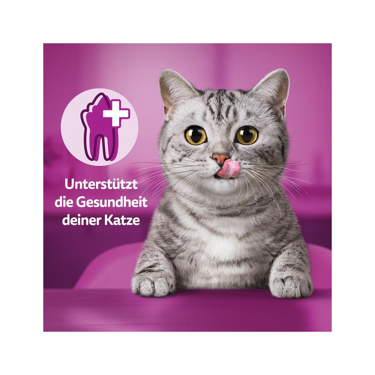 Whiskas Snacks, Dentabites, Huhn 6x40 g