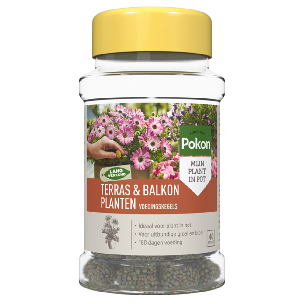 Pokon Voedingskegels Terras & Balkon Planten40 stuks