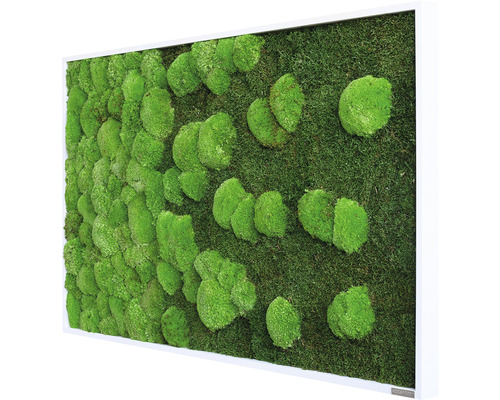 Mosschilderij bos & bolmos 100x60 cm