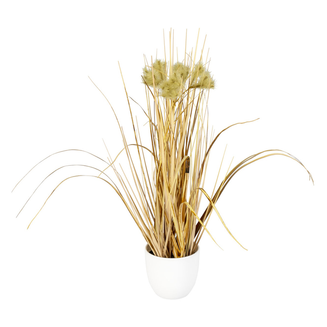 Deko-Trockengras im Topf - ca. 36 cm - 1 Stück