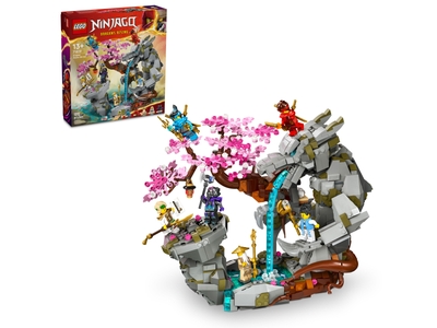 LEGO Altaar van de Stenen Draak (71819)