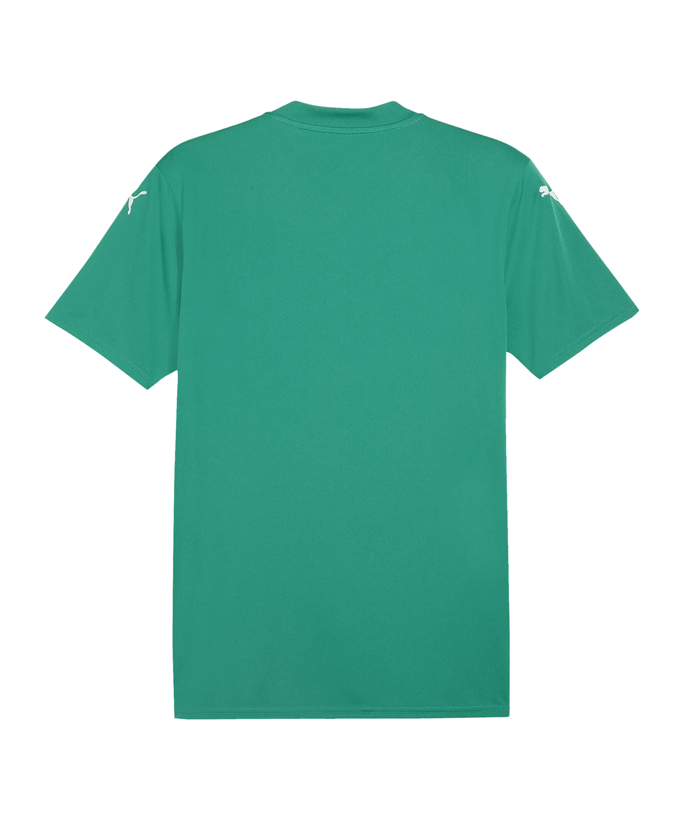 PUMA SK Rapid Prematch Shirt 2024/2025 Grün F05