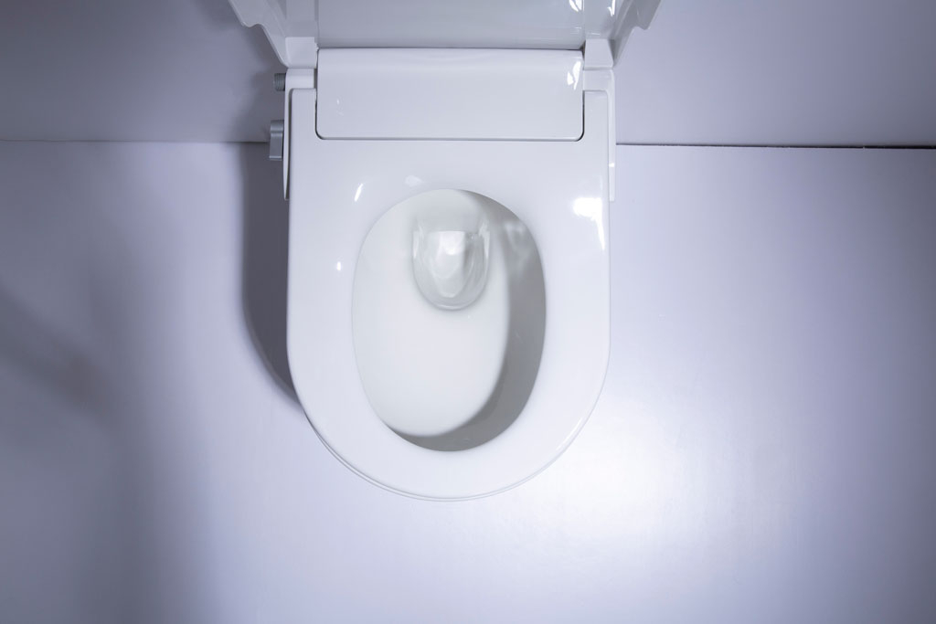 Saniclear Jama Spray randloos toilet met douchewc bidet zitting