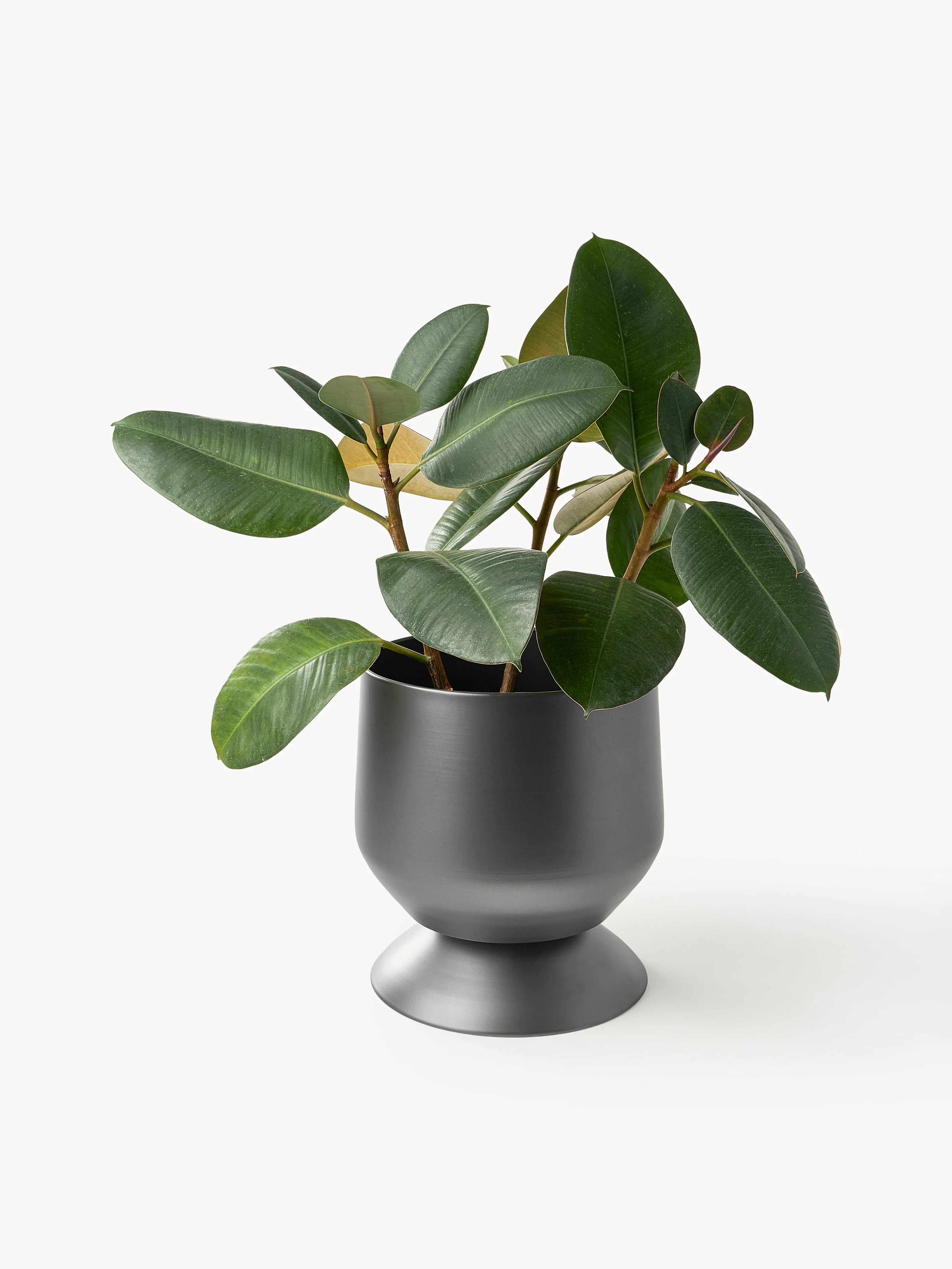 Plantenpotten Renya, 2-delig ZWART