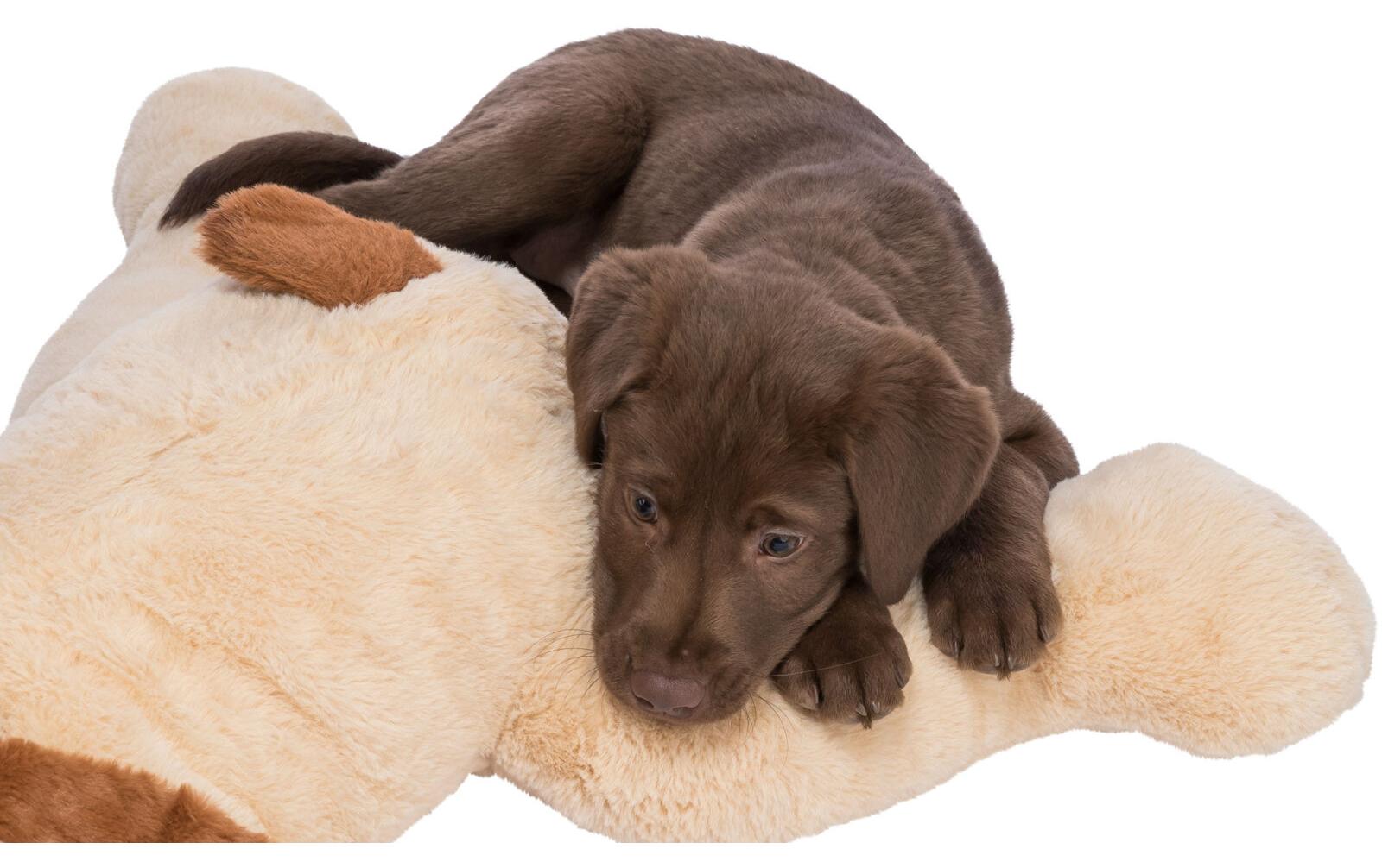 Ankuschelhund Benny SOFT Edition, 75 cmKuscheltier für Hundewelpen