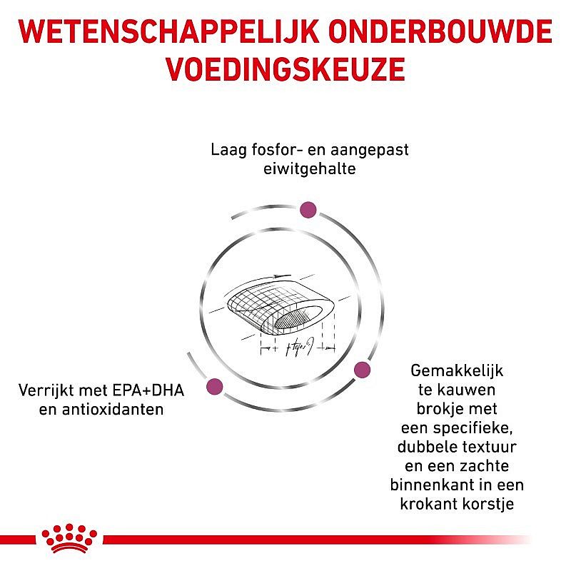 Royal Canin Renal Select Kat Kattenvoer voor ondersteuning van de nierfunctie van volwassen katten