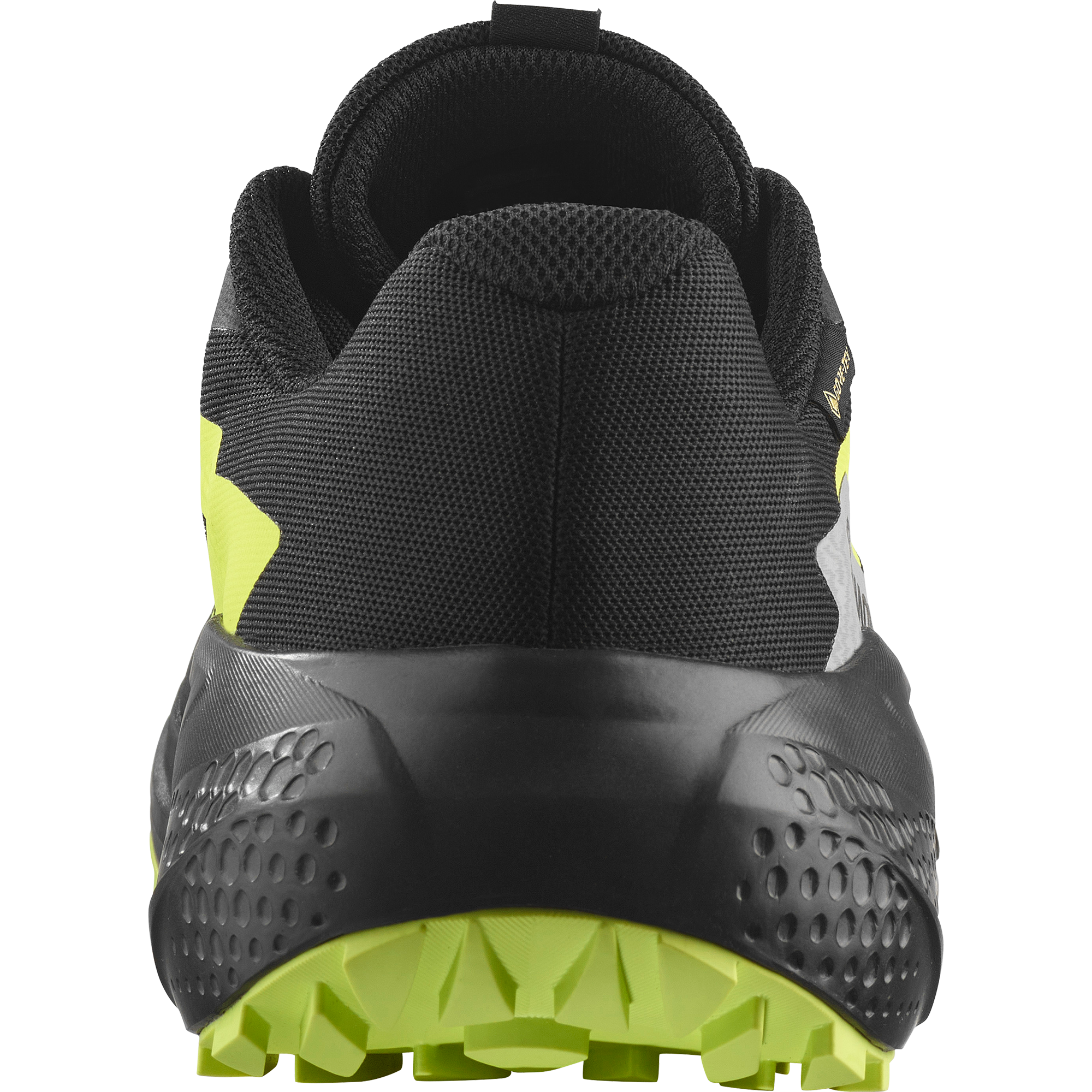 Salomon Trailrunningschuh »ALPHAGLIDE GORE-TEX«  wasserdicht