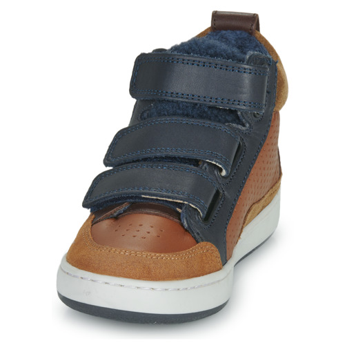 Shoo Pom - TEAMS JOG SCRATCH FUR - Marron / Bleu