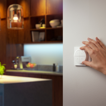Philips Hue tap wit