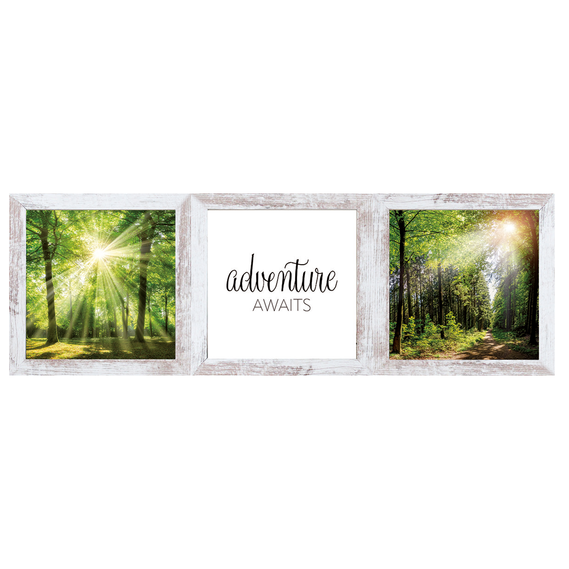 3er-Set Gerahmtes Bild/Cheb WALD EMOTIONEN - je 23x23 cm