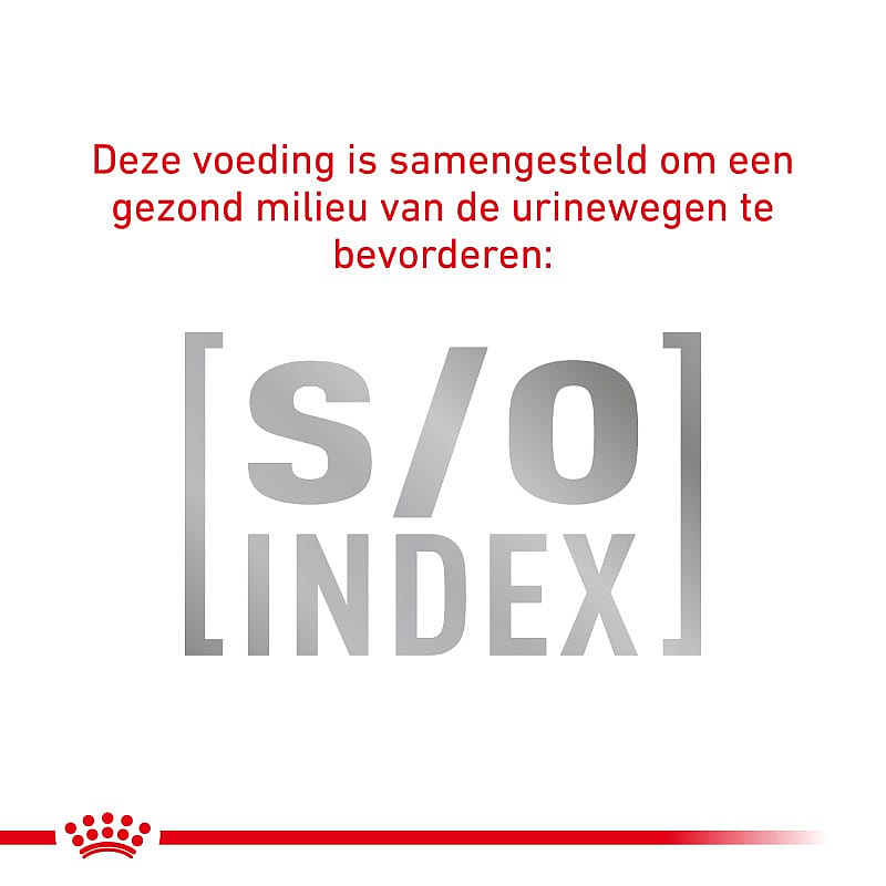 ROYAL CANIN® Skin Care Small Dog - Dieetvoeding voor als uw volwassen hond een huidaandoening of overmatige haaruitval heeft