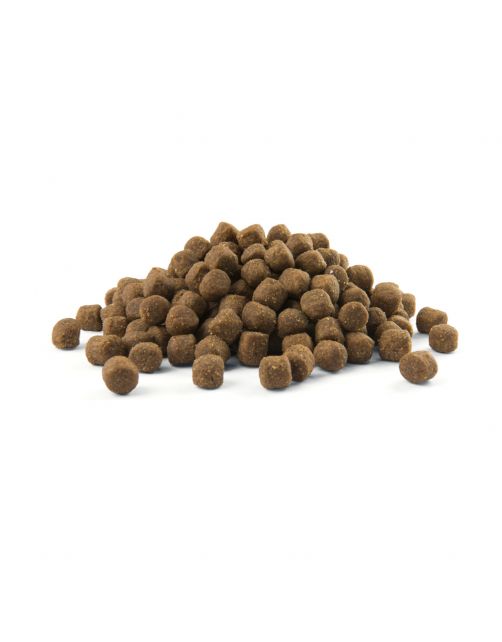 Opti Life Puppy Medium - Hondenvoer