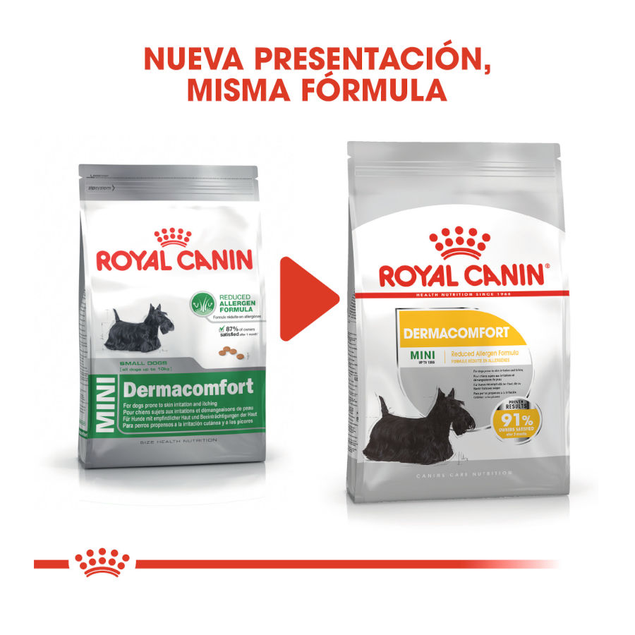 Ração Royal Canin Dermacomfort Mini para cães