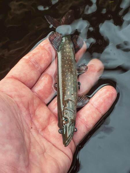 Leurre Nageur Ultra-Réaliste Fox Rage Pike Replicant 10cm (12g)