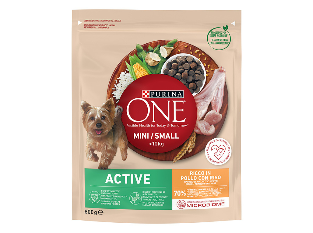 RAÇÃO PARA CÃO PURINA ONE MINI ACTIVE COM FRANGO 800G