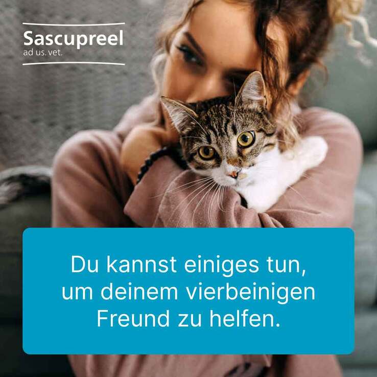 Sascupreel ad us. vet. Tabletten, 500 St