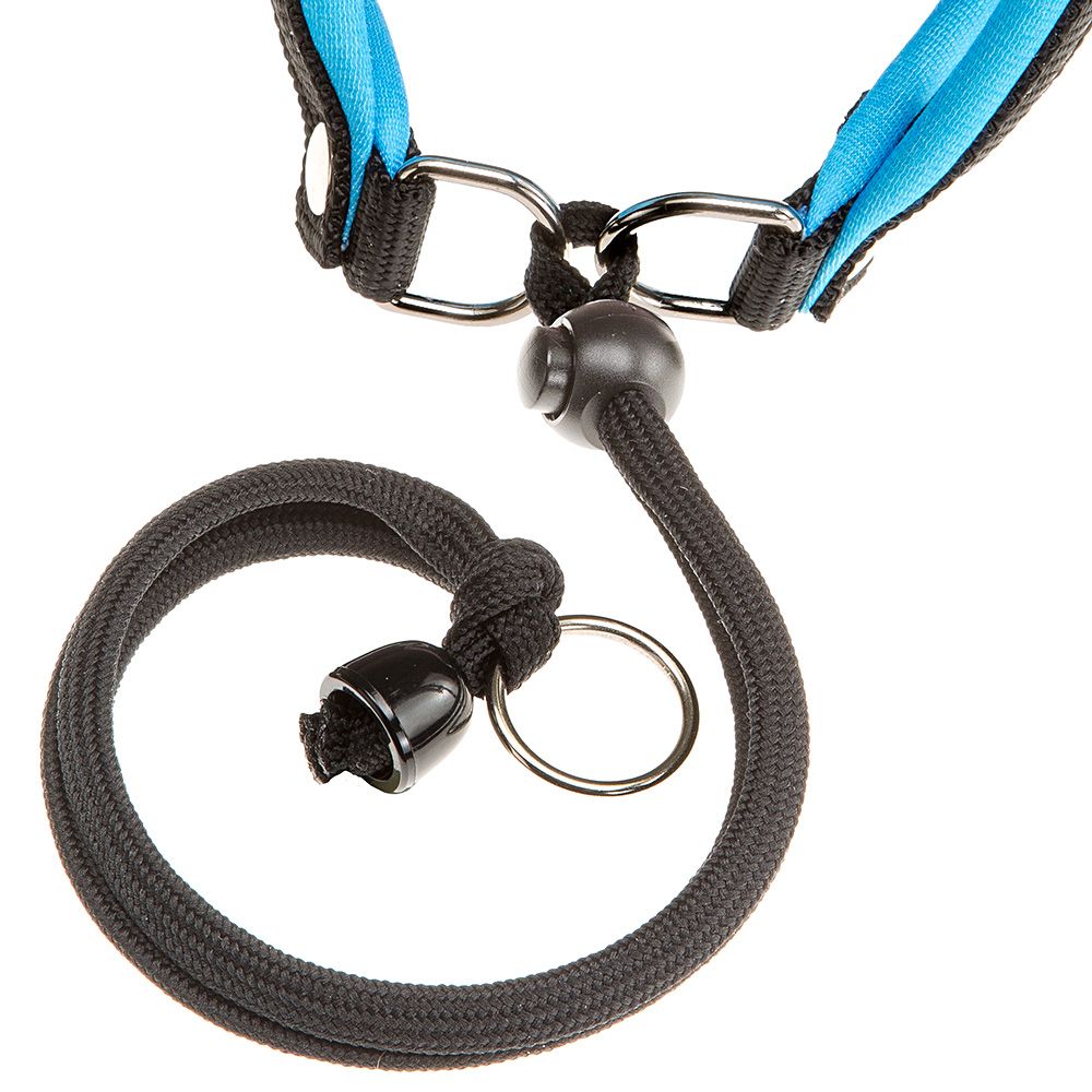 Ferplast harnais ergonomique pour chiens agila fluo 1, ajustement parfait, fermeture pratique avec lacet, rembourrage souple, a=b