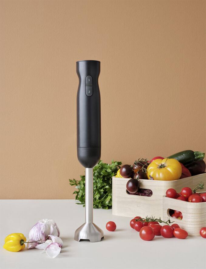 RIG TIG Foodie Stavblender Black