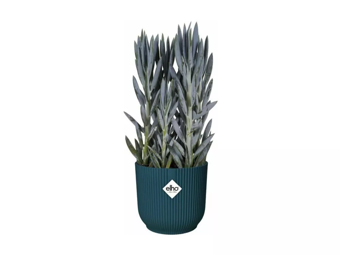 Pot de fleurs Rond VIBES - Plastique - Ø 25 - Bleu Foncé