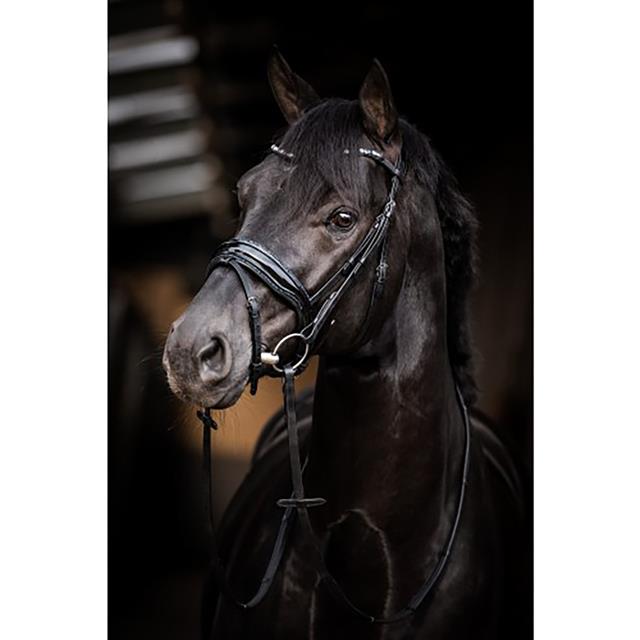 Hoofdstel HB Showtime Evalira Zwart-blauw