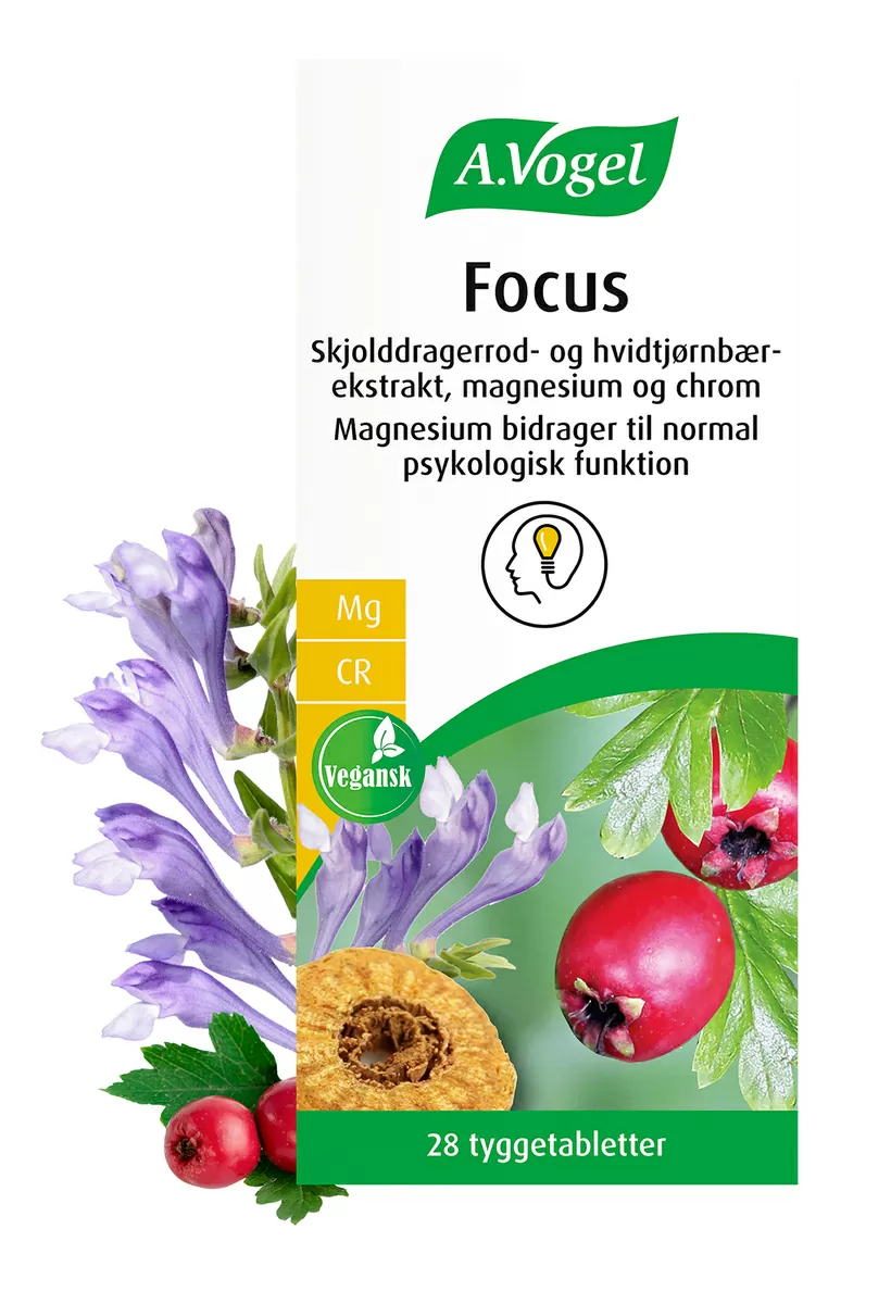 A.Vogel Focus - 28 tabl.