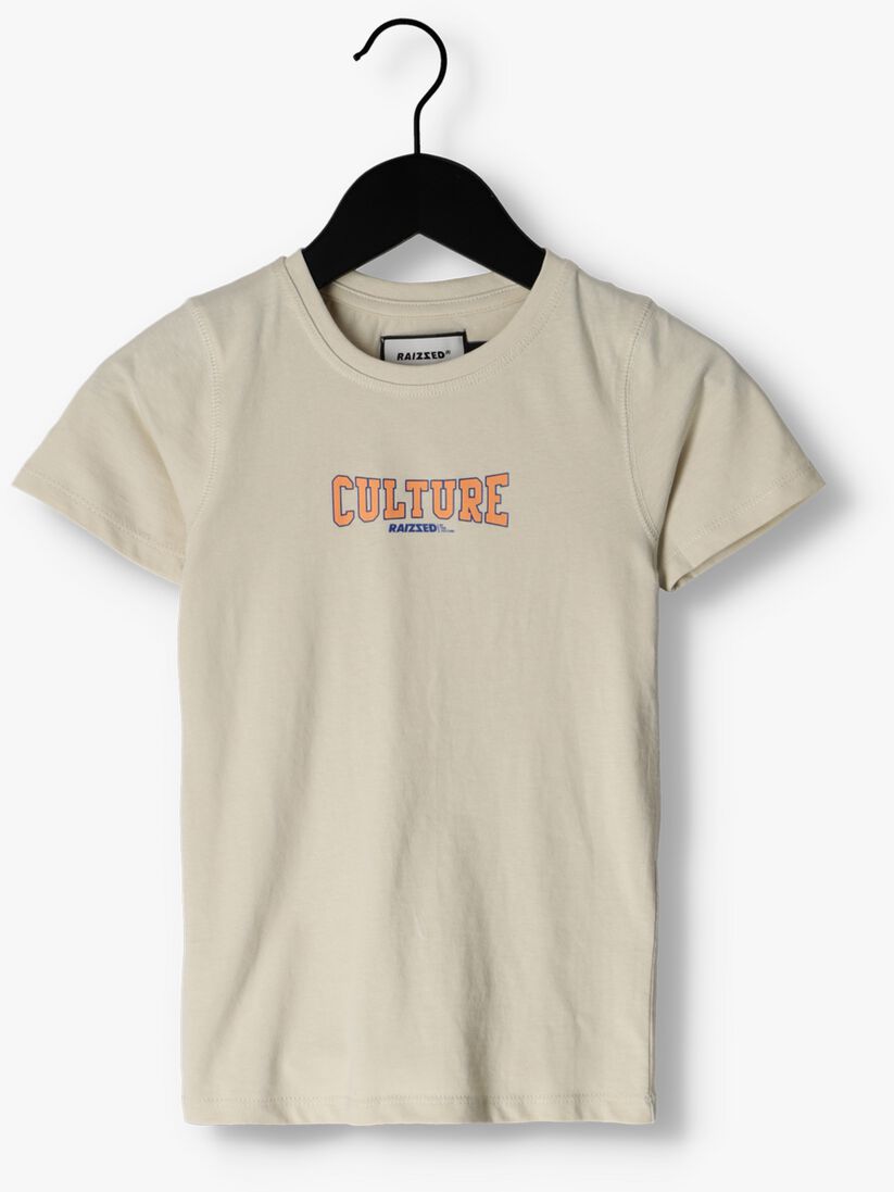 RAIZZED lichtgrijze raizzed t-shirt sheridan