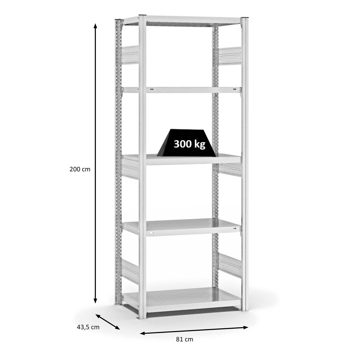 PROREGAL Stellingkast, insteeksysteem, T-profiel, extra zwaar, basiskast, hxbxd 200 x 75 x 40 cm, 5 legplanken, draagvermogen legplanken 315 kg, aan beide zijden te gebruiken, lichtgrijs
