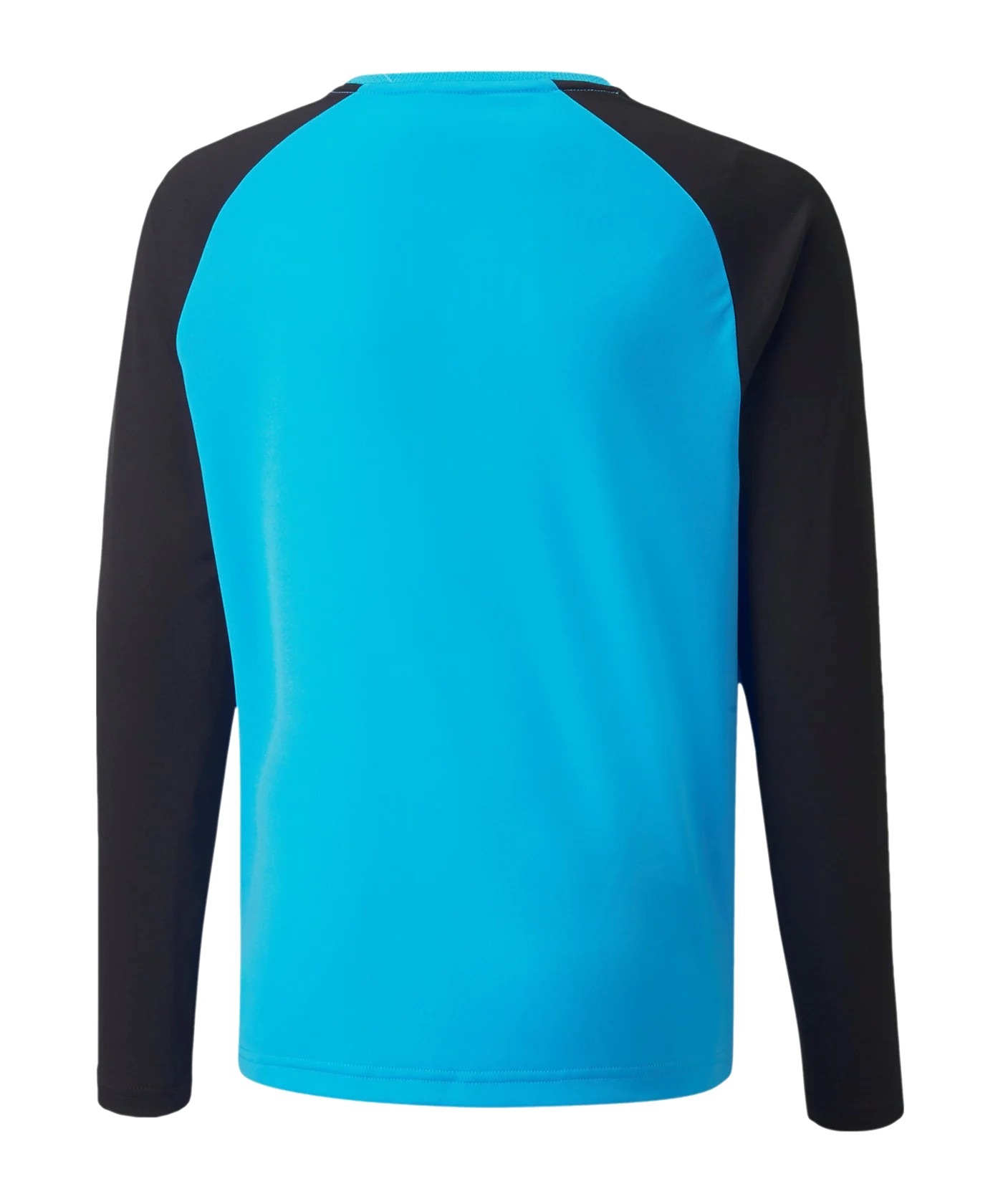 PUMA teamPACER Torwarttrikot langarm Kids F40