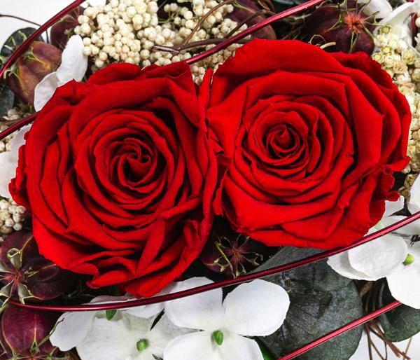 Dehner Keramik-Jardiniere mit Longlife-Rose