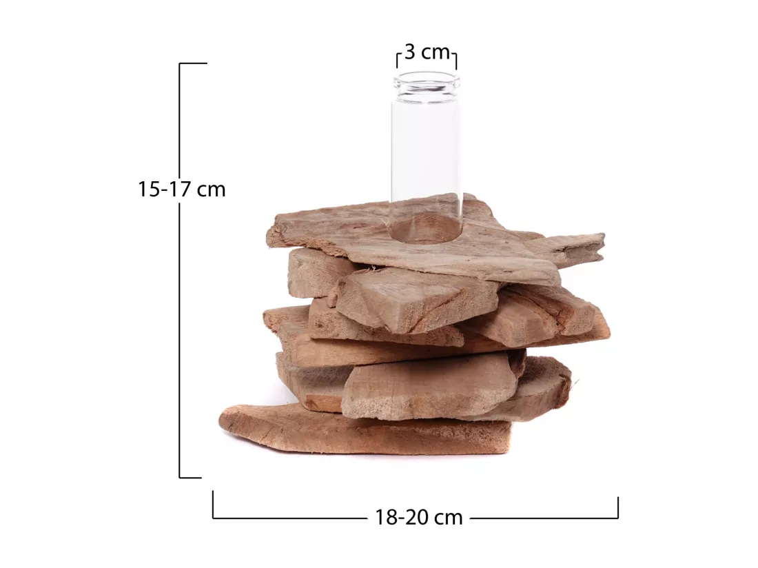 VASE Tiana 19x16 cm, bois de racine, avec insert de tube à essai couleurs naturelles