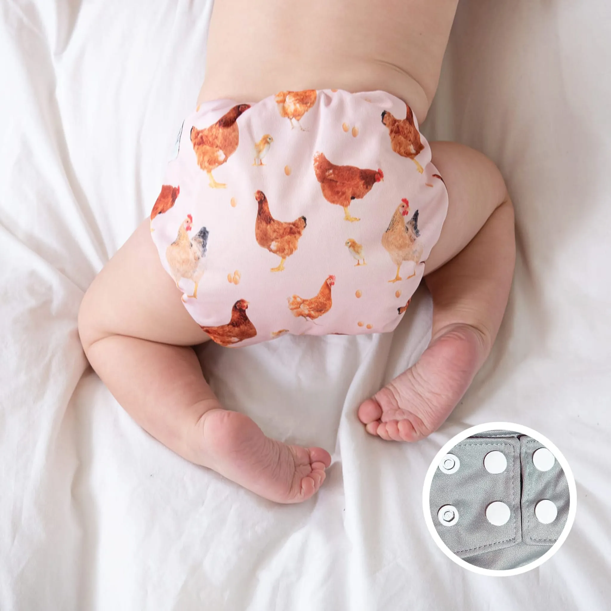 La Petite Ourse Couche Lavable 10-35lb - Poule