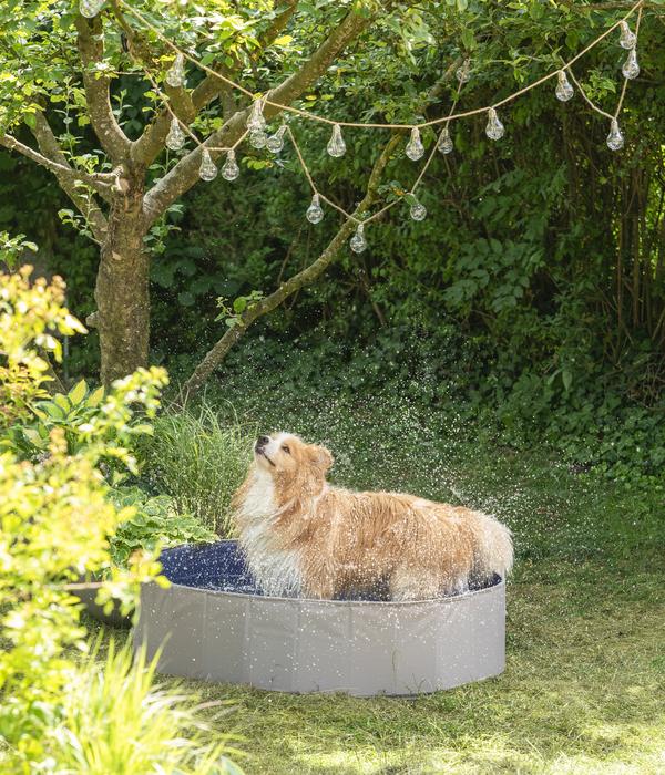 Dehner Lieblinge Hundepool Water Fun, ca.